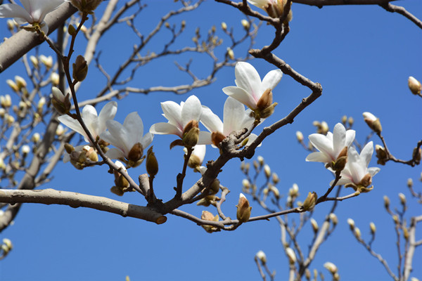 DSC_0782 (2)_����.jpg