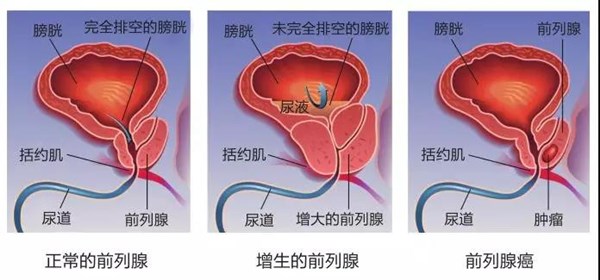 微信图片_20191118141933.jpg