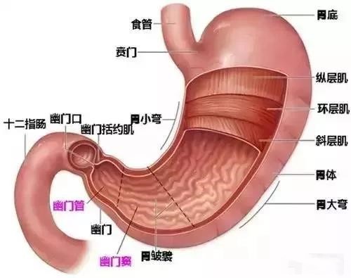 微信图片_20191124220438.jpg