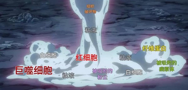 微信图片_20191127133132.jpg