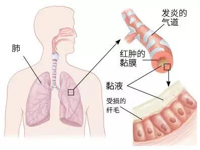 微信图片_20191127133208.jpg