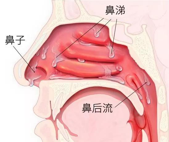 微信图片_20191127133237.jpg