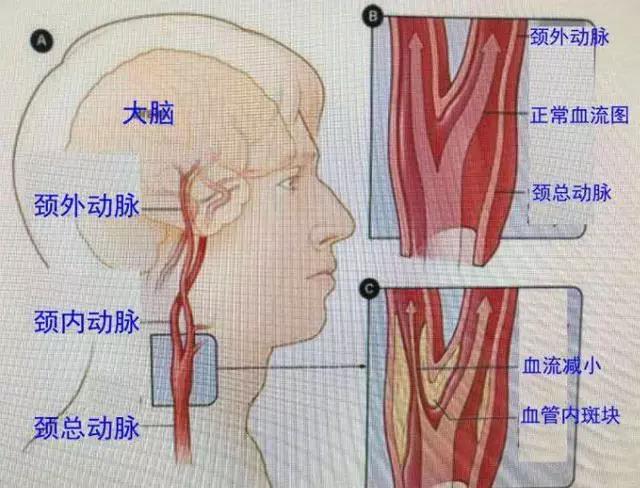 微信图片_20191203131947.jpg