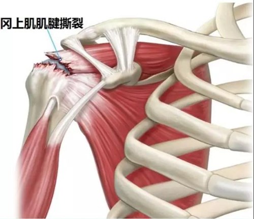 微信图片_20191214153135.jpg