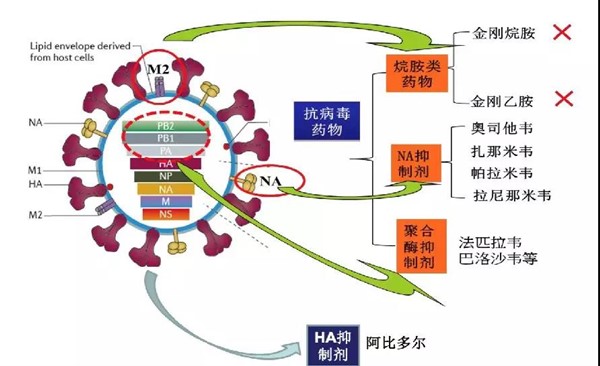 微信图片_20200101220227.jpg 微信图片_20200101220227.jpg