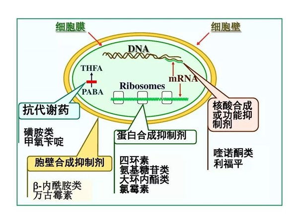 微信图片_20200106142357.jpg 微信图片_20200106142357.jpg