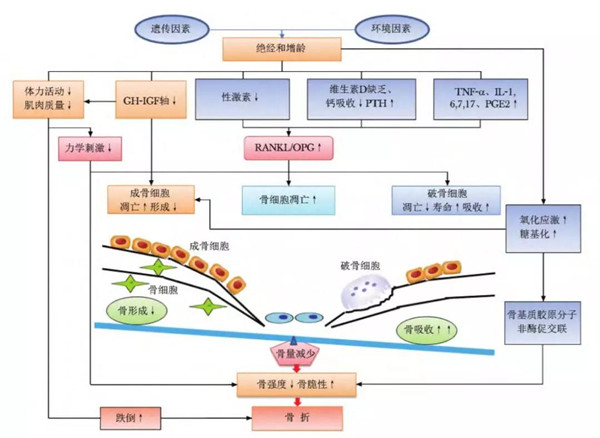 微信图片_20200114154714.jpg