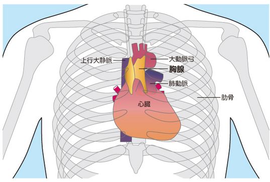 微信图片_20200312151538.jpg