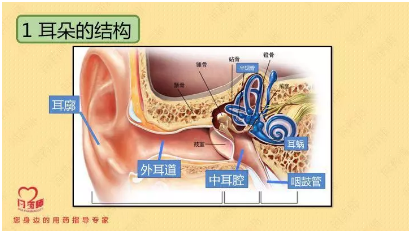 微信截图_20200630132408.png