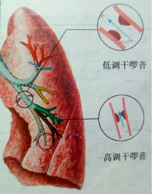 微信截图_20200921082255.png