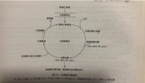 微信截图_20201012134543.png