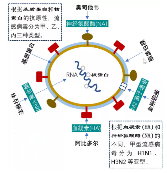 微信截图_20201203082151.png