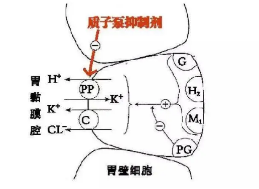 微信截图_20201221080524.png