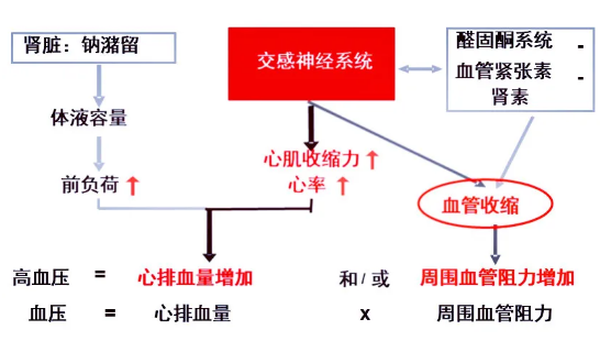 微信截图_20210205151922.png