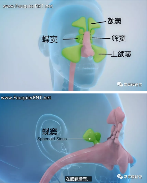 微信截图_20210224111930.png