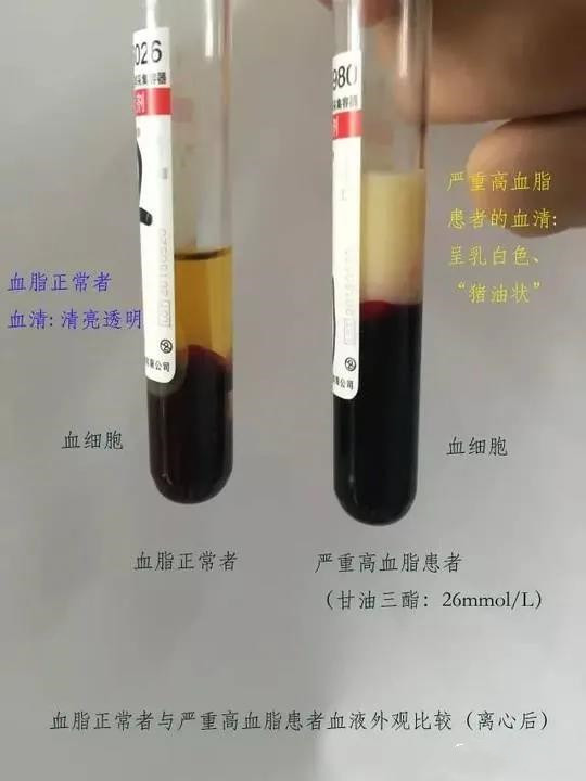 微信图片_20210621140106.jpg