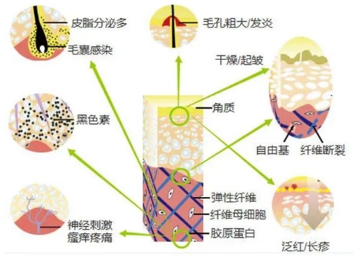 微信截图_20231128110938.png