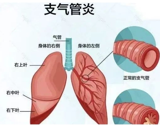 微信截图_20231128111031.png