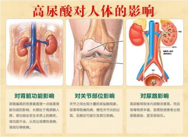 微信截图_20231211093013.png